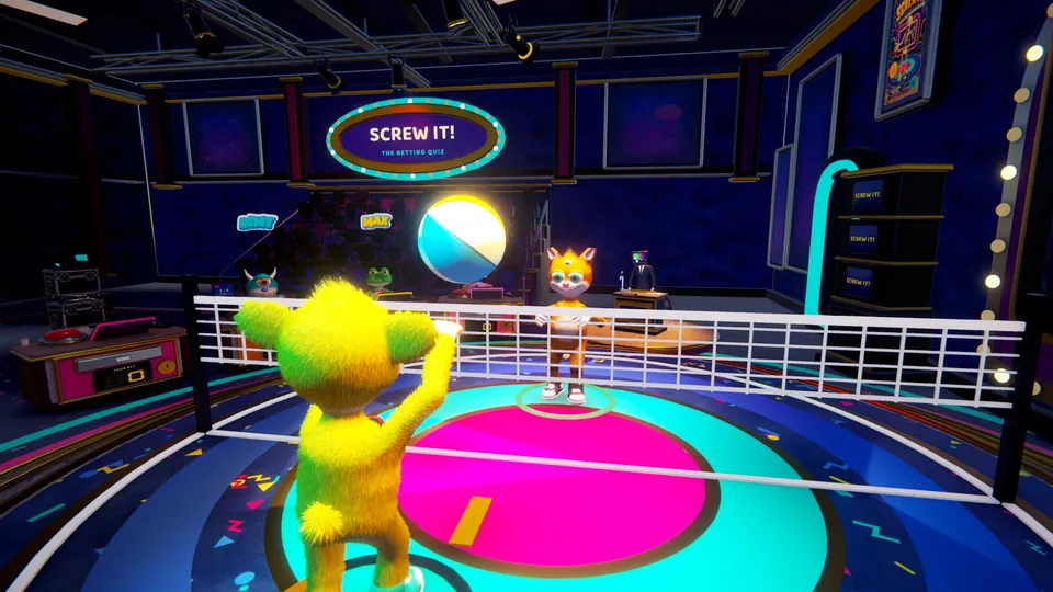 The volleyball final